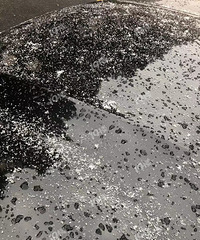 �쿴���⣡������ѩ����2023���һ����