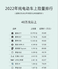 2022年纯电车上险量排行榜!