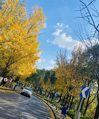 ���ش����з��г� ��ĸ�������� ���岻�뽫�� Ѱ�ҶԵ���