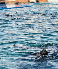 ����һ�� ��10��仯̫���� �ҵ��ഺ�Ѿ�������