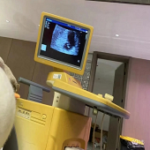 ���˸�����B����