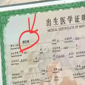 ����������ܲ��