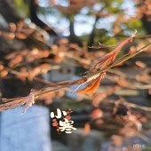 С��������