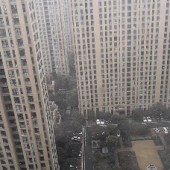 ������ѩ��