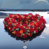 ���͵Ļ鳵װ��