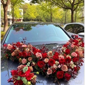 ����ɫϵ�鳵��