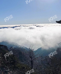 ���н������ϰ�����Ŀ�������