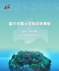 ������2021-2035������ռ�����滮�������ˣ���Ϣ���ܴ�