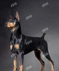 ������԰�����ţ�����·�ͻ�����·����ڣ�˭�ҵĹ�����