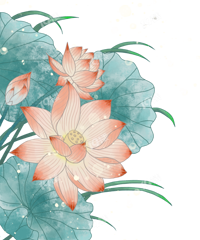 ����������ϴ��� ���˴��Ժ������ȥ����