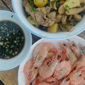 �������ĵ���ů��