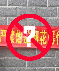 今年的烟花爆竹该不该禁?当下的一手房限购该不该取消?