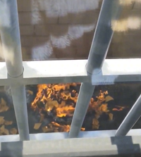 ̫Σ���˰ɣ�������� ĳС�����³���������ֽǮ...