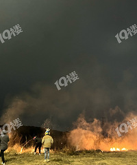 ������·����·�ڣ�ȼ���̻������ˣ��Ѳ�119