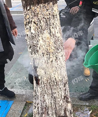 ���ˣ�����������ð���̣�������˵ɶ�Ķ��С���