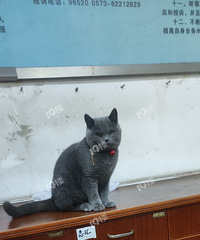 è��������