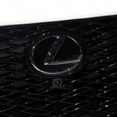 ���Ʒ��ȥ�������»�