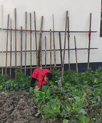 ������һ���������� �������� ���в����־������˿���