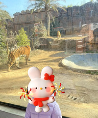 �ϲ�����������סԺ ����������С������ ��Ĳ����鷳����