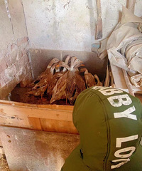 �еļ���ֻ��һ�ײ�Ǩ��Ҳ�����˼��� �������滹һƨ�ɶ�ծ