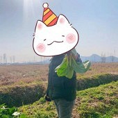 ����ǽ����ǽ��ծ