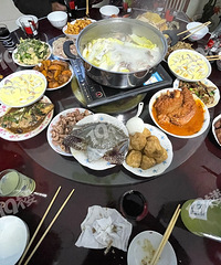 过年你们喝老酒了哇?我顿顿喝、顿顿晕、天天倒!