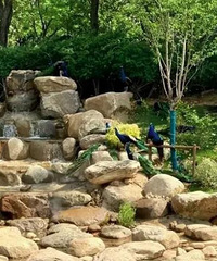 ʲô�������ڶ���԰��ͯ׷��Ϯ����ȸ ץסͷ���������ˤ��