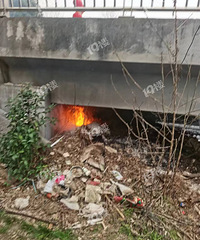 �л���·����԰�����Ŷ����յú������ǵ��������Ż��ˣ�