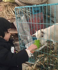 ����������Ͳ��� ��ϧ����̫�����ܲ��� �͵�������