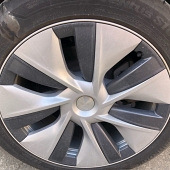 ��������̥Ҫ��Ҫ����