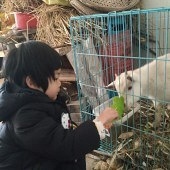 ���ǻ������������