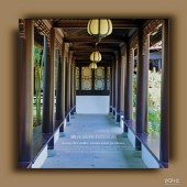 ����԰���еĹ���