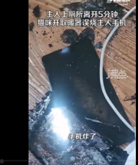 è����ȡů��3500Ԫ�ֻ����ճɻ� �������������������