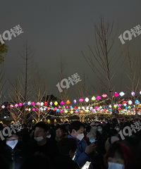 ��������ϵ��ӳ���ãã�� ��Ҷ����������æ��