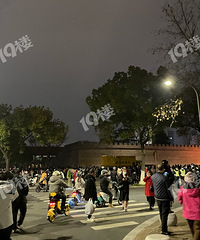 ��������ϵ��ӳ���ãã�� ��Ҷ����������æ��