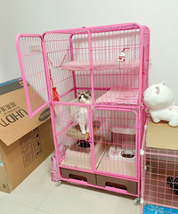 猫咪的产房和豪华别墅