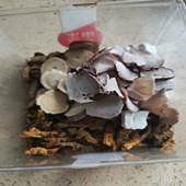 ������������ѧ����ҽ