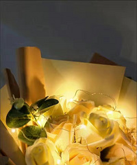 ���joytlower��С����������Ŀɣ�