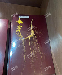 ԭ���ؼ۸�����㣡����ͬ�°���ص� �ж�������