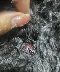 ����������Ĺ�����·���Ľ�ëҧ�� ��������������Ǯ����զ�㡭