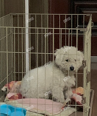 �ؽ�Ѱ����8���´���ܹ���·��ײ�˺�֪ȥ��