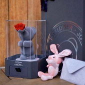 С����������Ŀɣ�