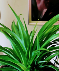 �˵����������� ���Ӻ�Ů���Ĳ����ĺܴ� ����ô����