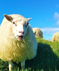 �¹ڲ��������ʧ�������Ͽ�����ѧУ�������˷��������