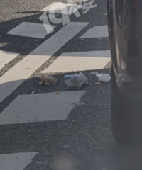 @���˽����������������Ƶ��ͼ���Ƽ������̫·��ƽ������