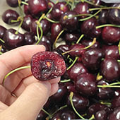 ���ϳ����ӵ�ĩ�೵��