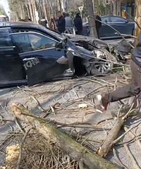 ͩ�糵�����׿���˹ֱ��ײ������ͷһ����Ϳ��