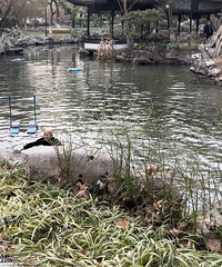 ����԰��������һĻ����ô����죬�������¾���ˮ��ͯ��