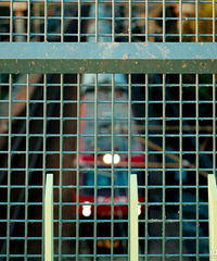 �������� �ܿ����� ÿ��ʮ���ӾͿ��Կ����𳵾���