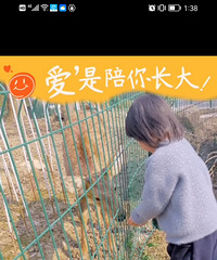 �������޺�ȥ��---����ط�����ιС¹������Ҫ��Ʊ��